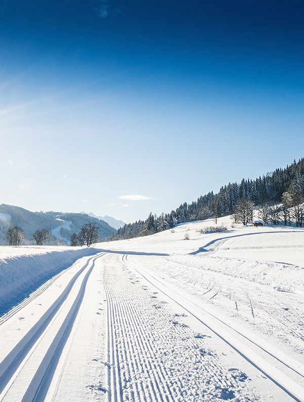 Cross-country skiing